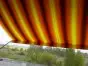 Bewertung meiner Bestellung im Frühjahr 2010 Bild 1