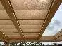 Sunola Hand mit Behang DS4809 dreamlike Bild 3