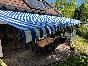 Zwillingsmarkise endlich im gleichen, neuen Tuch Bild 1